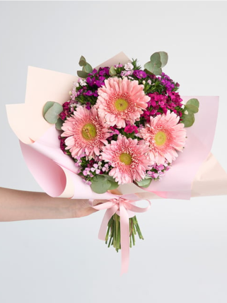 Pembe Gerberalar ve Hüsnü Yusuflar